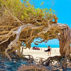 jericoacoara14